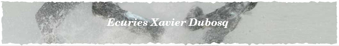 Ecuries Xavier Dubosq 